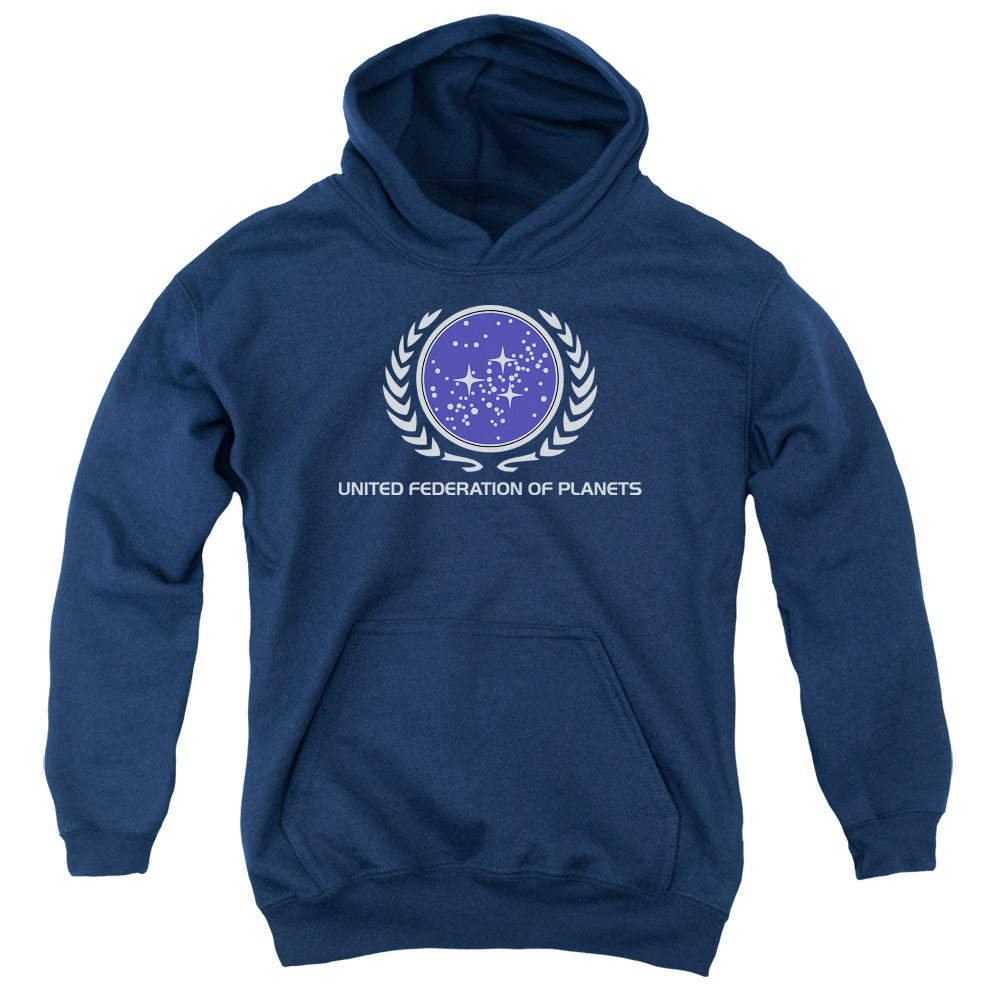 STAR TREK/UNITED FEDERATION LOGO - YOUTH PULLOVER HOODIE - NAVY