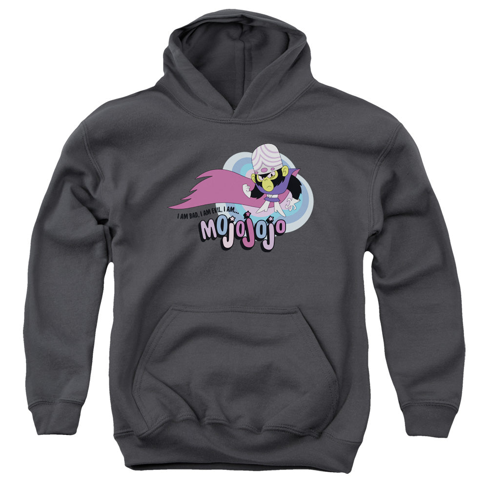 POWERPUFF GIRLS/I AM BAD I AM EVIL - YOUTH PULLOVER HOODIE - CHARCOAL