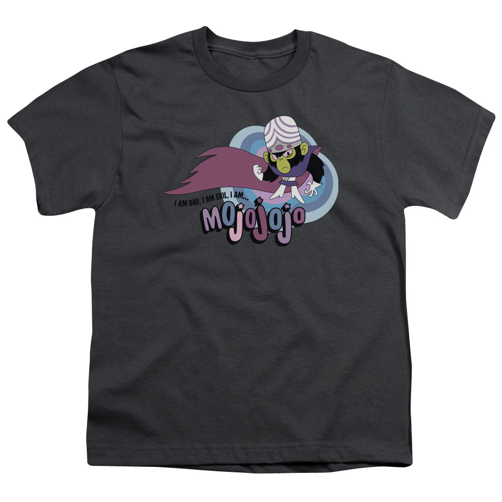 POWERPUFF GIRLS/I AM BAD I AM EVIL - S/S YOUTH 18/1 - CHARCOAL