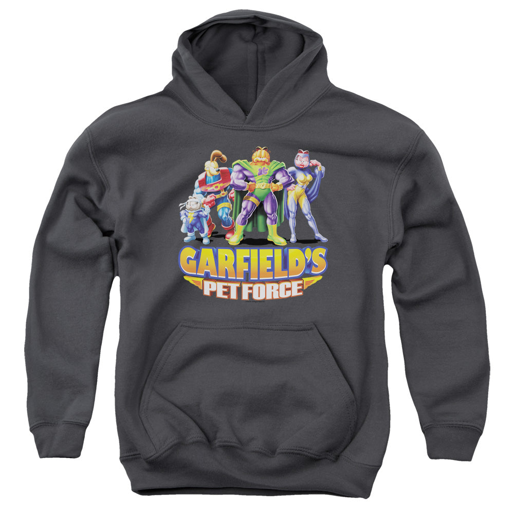 GARFIELD/BEYOND - YOUTH PULLOVER HOODIE - CHARCOAL