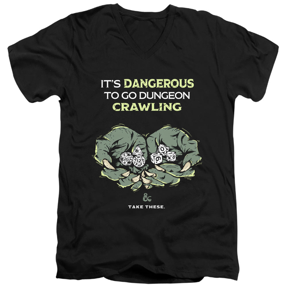 DUNGEONS AND DRAGONS/DANGEROUS TO GO ALONE - S/S ADULT V-NECK 30/1 - BLACK