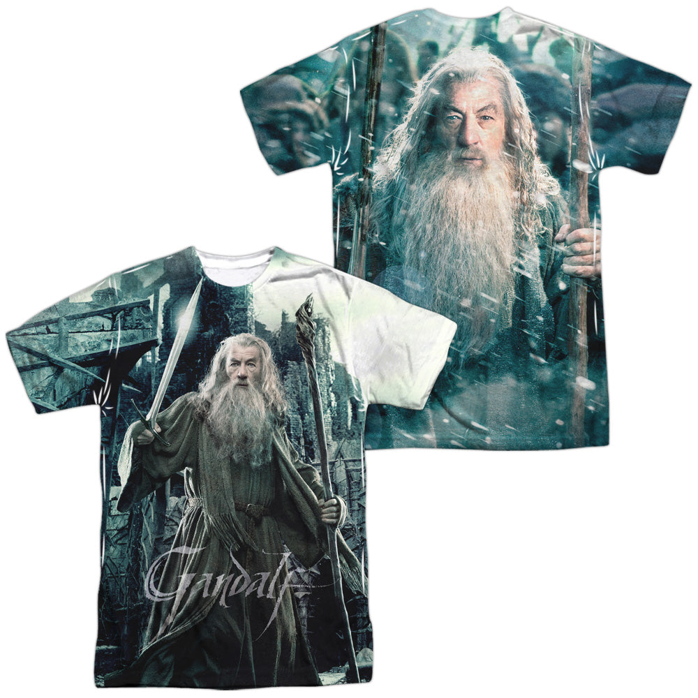HOBBIT/WIZARD (FRONT/BACK PRINT) - S/S ADULT POLY CREW - MULTI