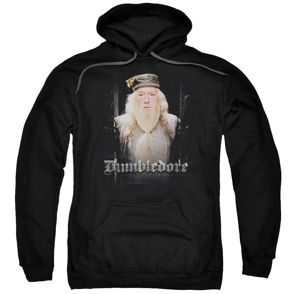 HARRY POTTER/DUMBLE DOORS - ADULT PULLOVER HOODIE - BLACK