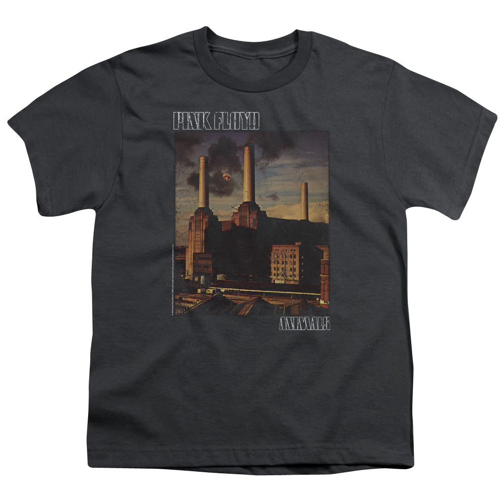 PINK FLOYD/FADED ANIMALS - S/S YOUTH 18/1 - CHARCOAL