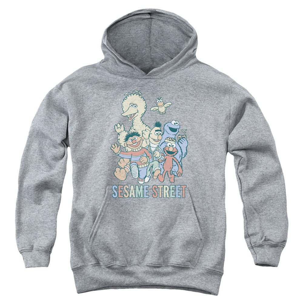 SESAME STREET/COLORFUL GROUP - YOUTH PULLOVER HOODIE - ATHLETIC HEATHER