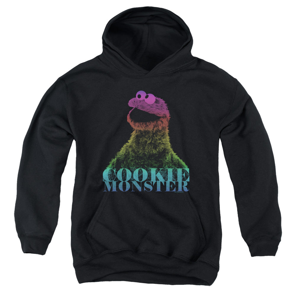SESAME STREET/CM HALFTONE - YOUTH PULLOVER HOODIE - BLACK