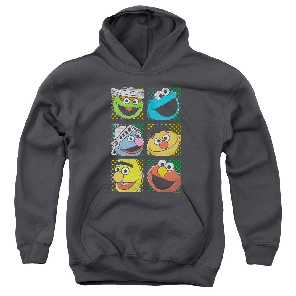 SESAME STREET/GROUP SQUARES - YOUTH PULLOVER HOODIE - CHARCOAL