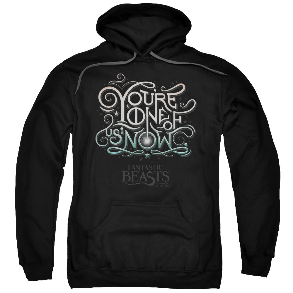 FANTASTIC BEASTS/ONE OF US - ADULT PULLOVER HOODIE - BLACK