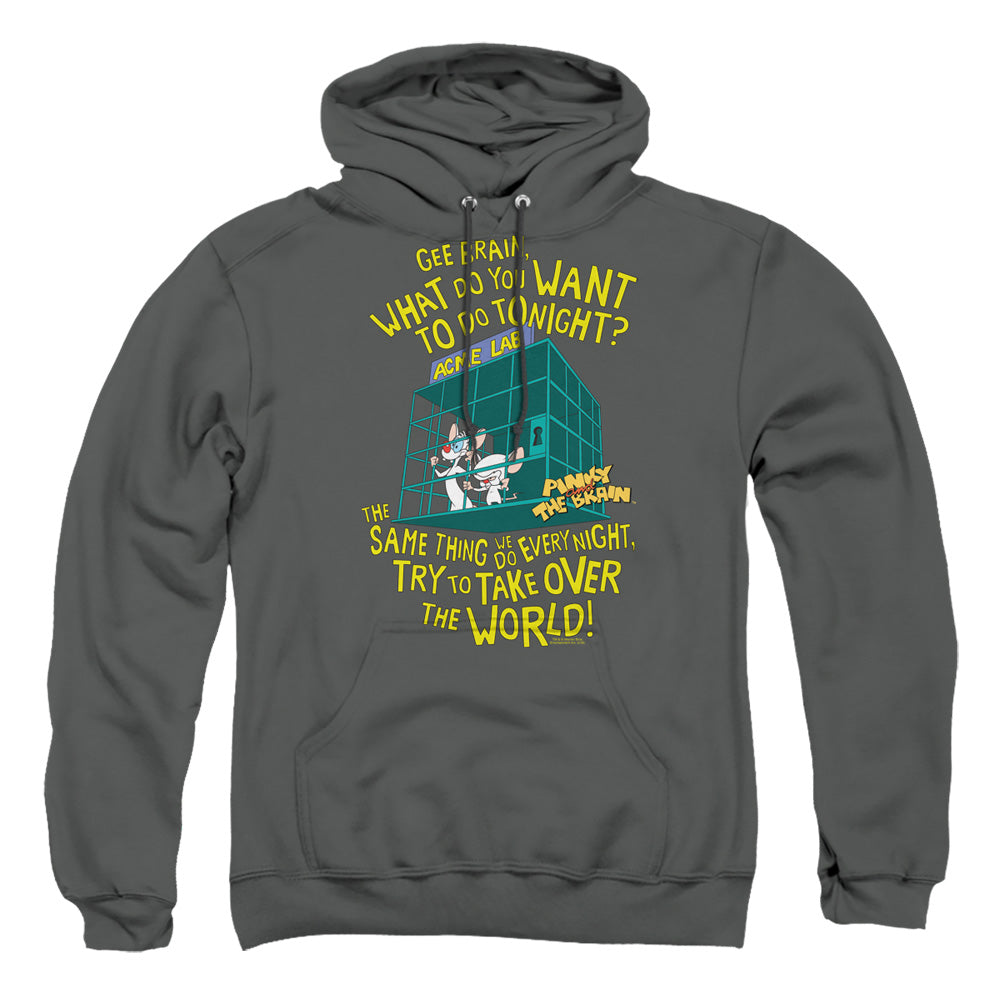 PINKY AND THE BRAIN/THE WORLD - ADULT PULLOVER HOODIE - CHARCOAL