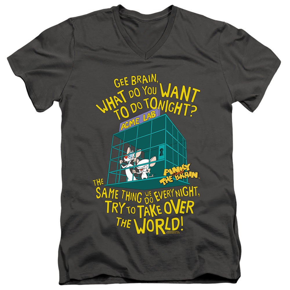 PINKY AND THE BRAIN/THE WORLD - S/S ADULT V-NECK 30/1 - CHARCOAL