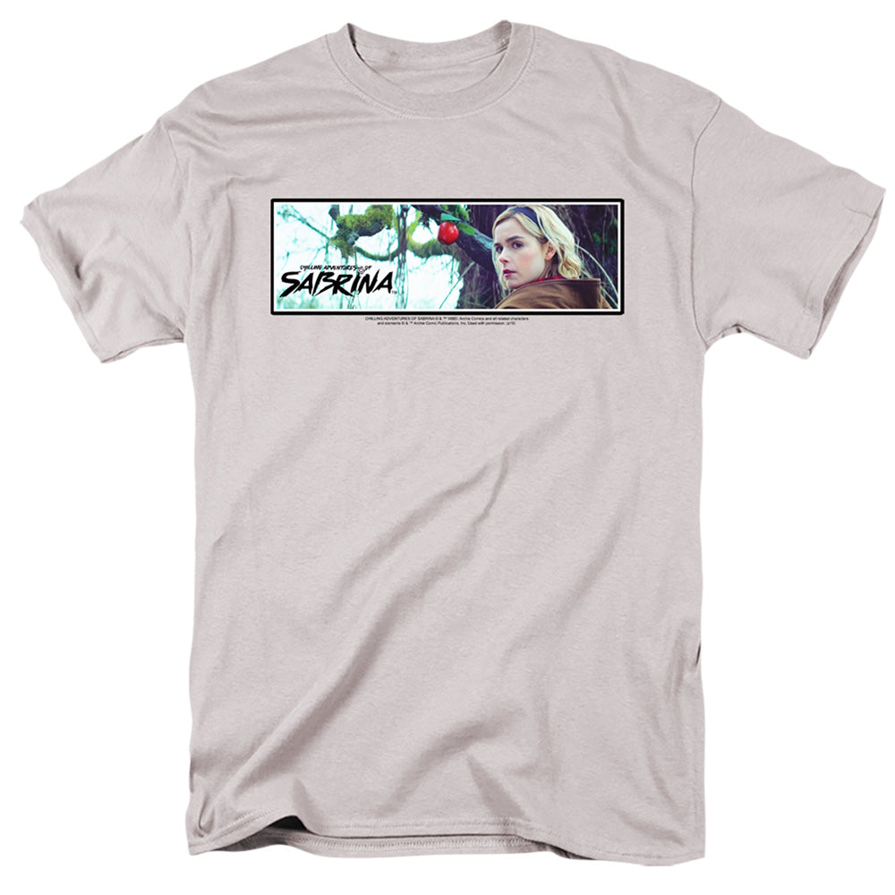 CHILLING ADVENTURES OF SABRINA/MALUM MALUS - S/S ADULT 18/1 - SILVER