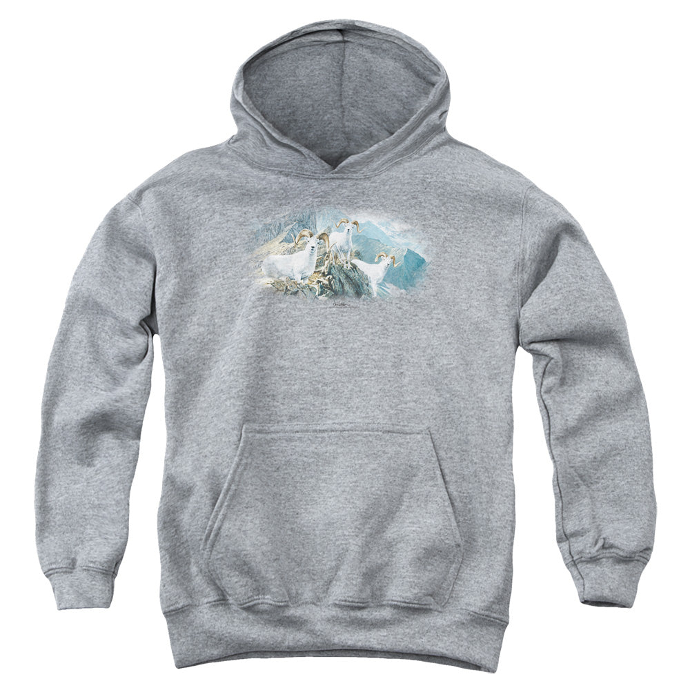 WILDLIFE/HIGH TRAILS DALL SHEEP - YOUTH PULLOVER HOODIE - ATHLETIC HEATHER