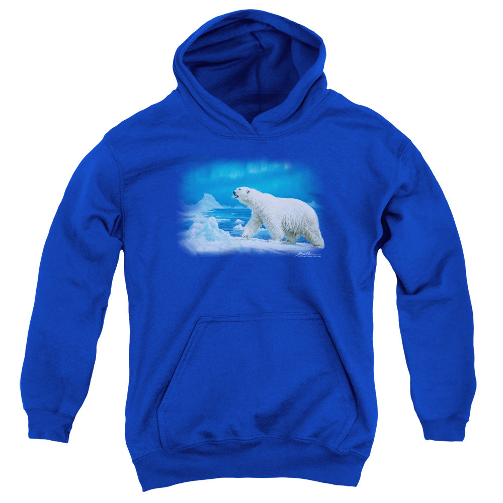 WILDLIFE/NOMAD OF THE NORTH - YOUTH PULLOVER HOODIE - ROYAL BLUE