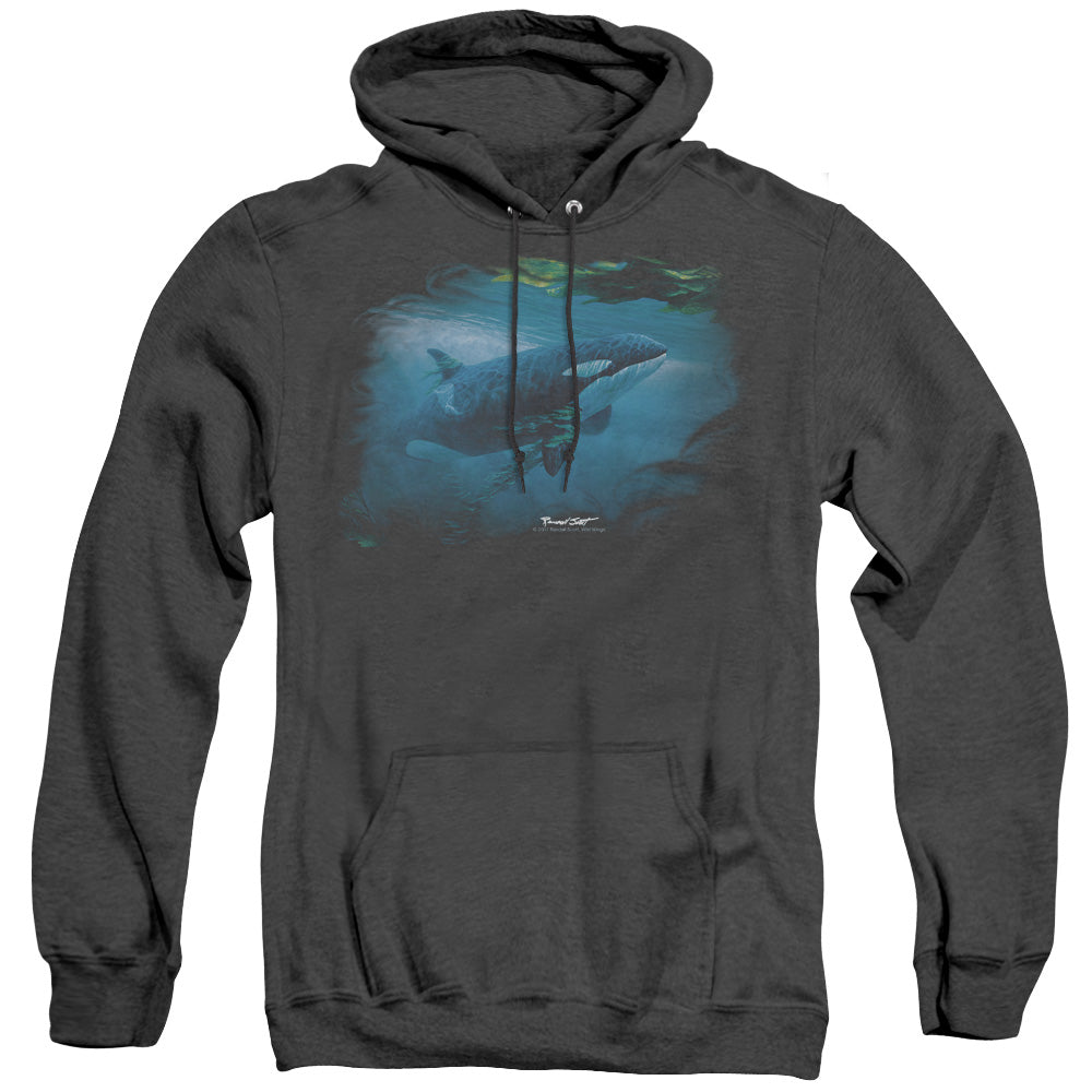WILDLIFE/PURSUIT THRU THE KELP ORCA - ADULT HEATHER HOODIE - BLACK
