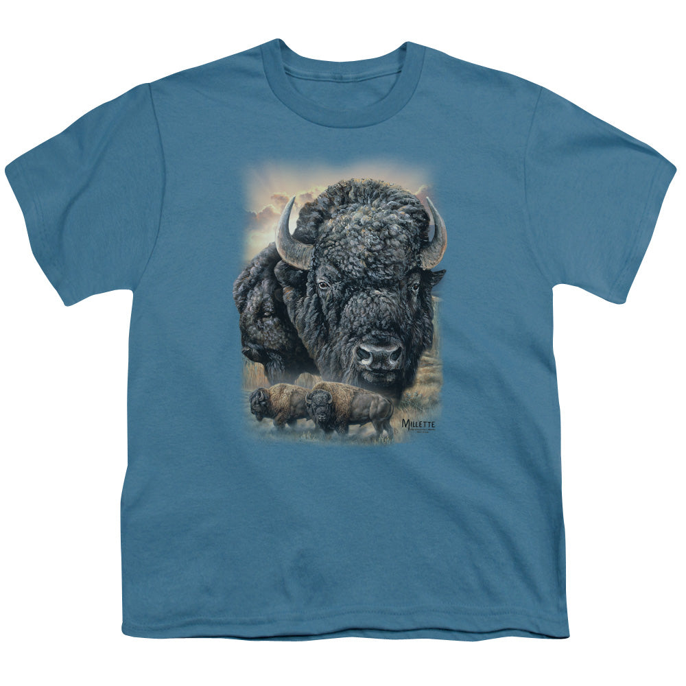 WILD WINGS/SUNSET BUFFALO - S/S YOUTH 18/1 - SLATE