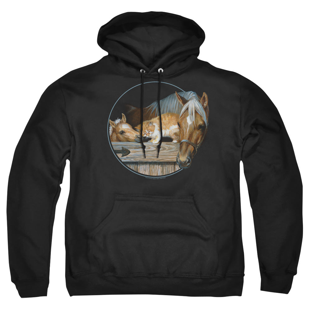WILD WINGS/EVERYONE LOVES KITTY - ADULT PULLOVER HOODIE - BLACK