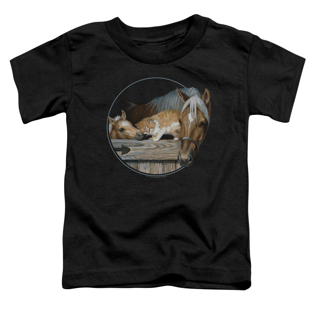 WILD WINGS/EVERYONE LOVES KITTY - S/S TODDLER TEE - BLACK