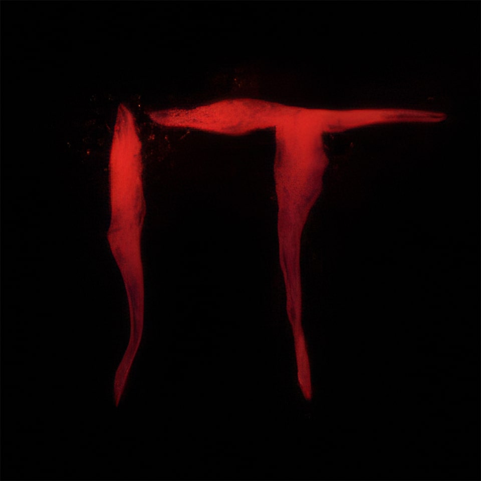 IT