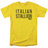 ROCKY/ITALIAN STALLION - S/S ADULT 18/1 - YELLOW