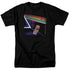 PINK FLOYD/MONEY - S/S ADULT 18/1 - BLACK