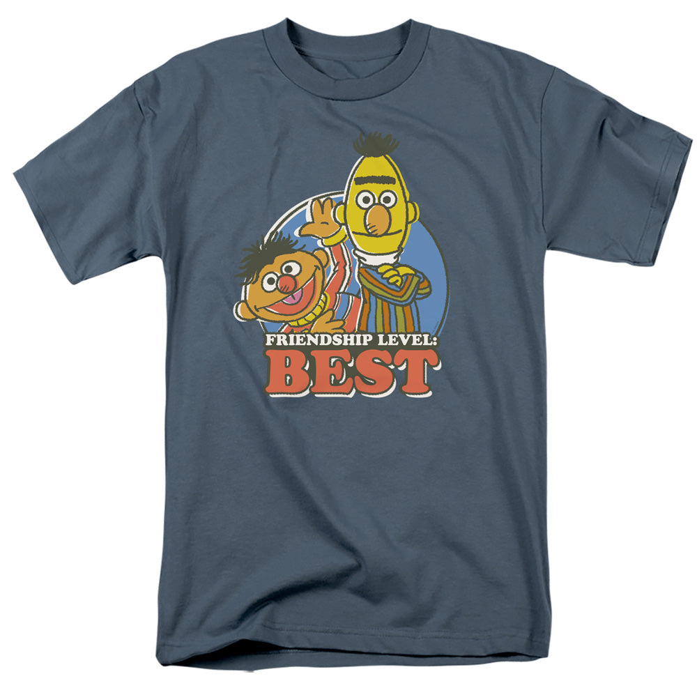 SESAME STREET/BERT & ERNIE FRIENDSHIP LEVEL: BEST - S/S ADULT 18/1 - SLATE