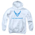 AIR FORCE/DISTRESSED LOGO - YOUTH PULLOVER HOODIE - WHITE