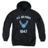 AIR FORCE/PROPERTY OF - YOUTH PULLOVER HOODIE - BLACK