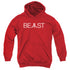 ATARI/BEAST - YOUTH PULLOVER HOODIE - RED
