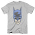BATMAN/BITMAN - S/S ADULT 18/1 - SILVER