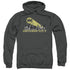 BATMAN/GOTHAM SKYLINE - ADULT PULLOVER HOODIE - CHARCOAL