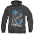BATMAN/STORMY DARK KNIGHT - ADULT HEATHER HOODIE - BLACK