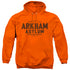 BATMAN/ARKHAM ASYLUM - ADULT PULLOVER HOODIE - ORANGE