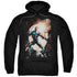 BATMAN/NIGHTWING AGAINST OWLS - ADULT PULLOVER HOODIE - BLACK