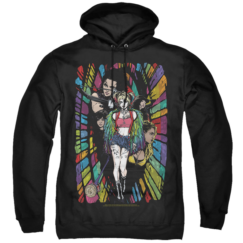 BIRDS OF PREY/COLOR CORRIDOR - ADULT PULLOVER HOODIE - BLACK