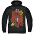 BIRDS OF PREY/HARLEYMANIA - ADULT PULLOVER HOODIE - BLACK