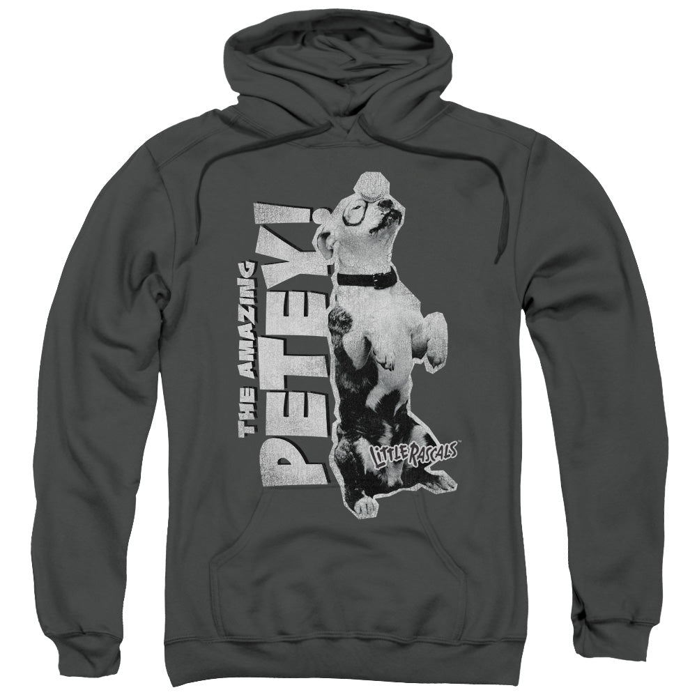 LITTLE RASCALS/AMAZING PETEY - ADULT PULLOVER HOODIE - CHARCOAL