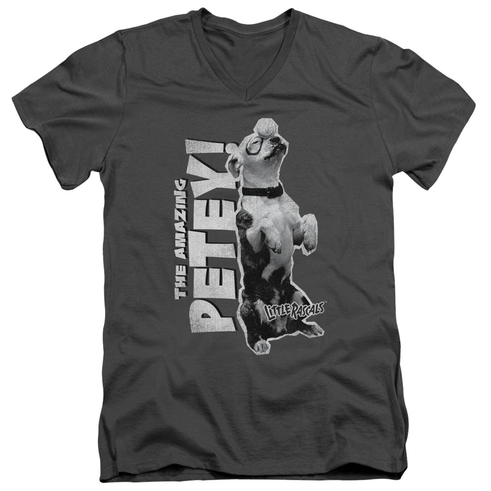 LITTLE RASCALS/AMAZING PETEY - S/S ADULT V-NECK 30/1 - CHARCOAL