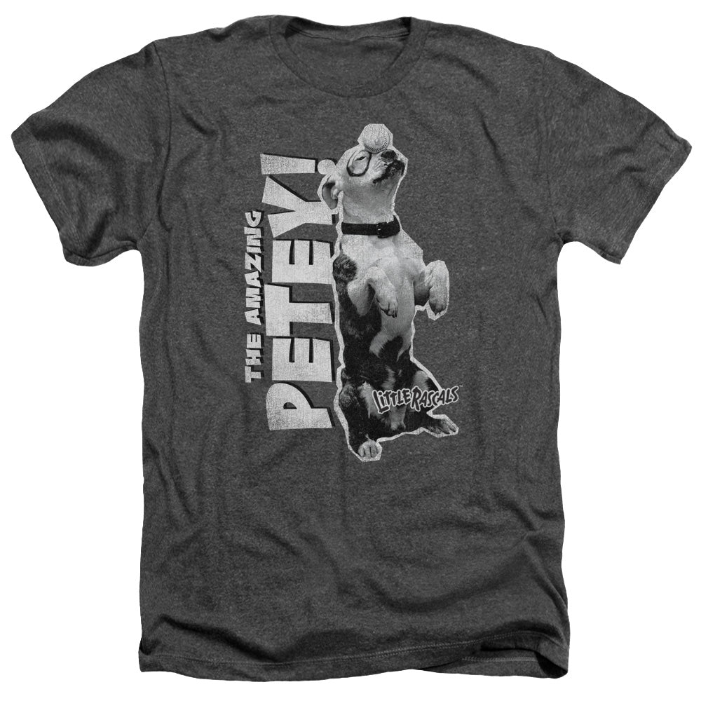 LITTLE RASCALS/AMAZING PETEY - ADULT HEATHER - CHARCOAL
