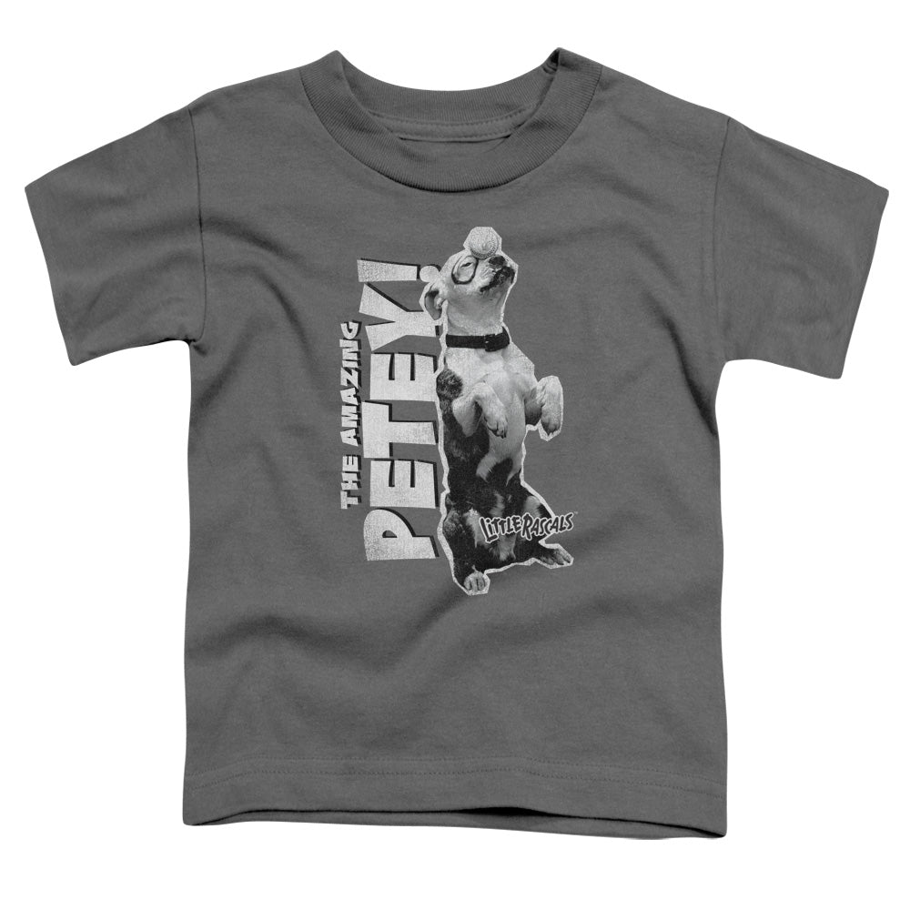 LITTLE RASCALS/AMAZING PETEY - S/S TODDLER TEE - CHARCOAL