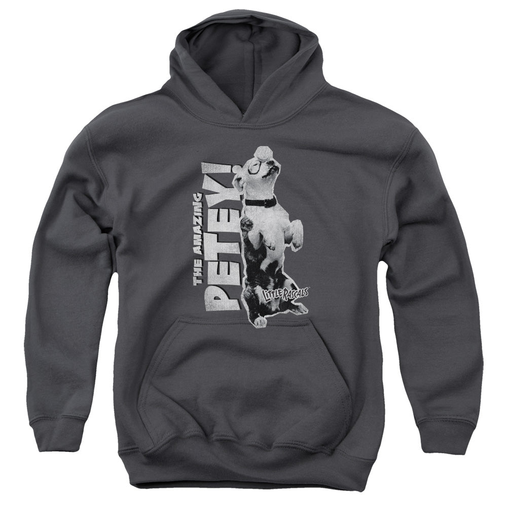 LITTLE RASCALS/AMAZING PETEY - YOUTH PULLOVER HOODIE - CHARCOAL