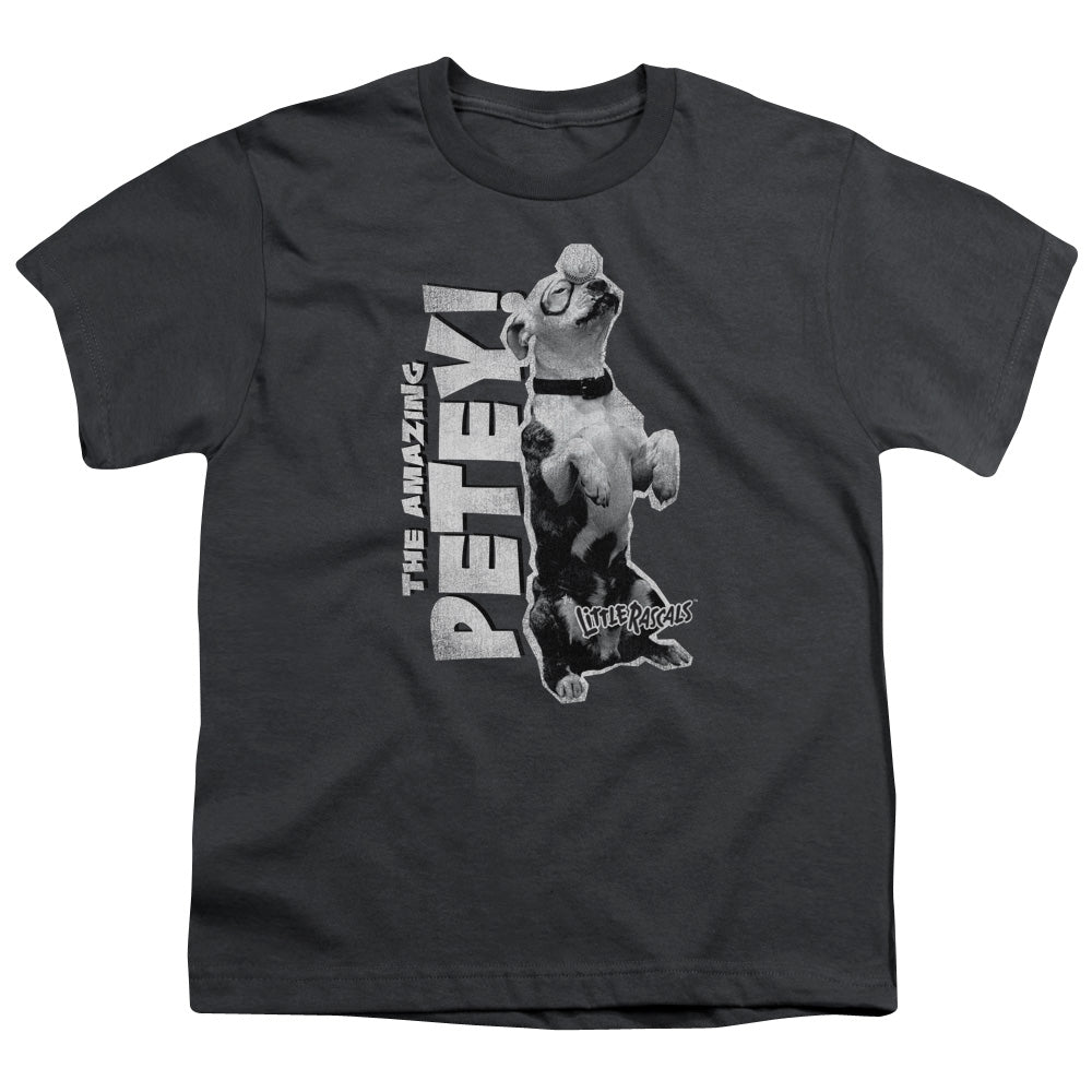 LITTLE RASCALS/AMAZING PETEY - S/S YOUTH 18/1 - CHARCOAL