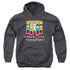 STAR TREK/PRESS A TO TRANSPORT - YOUTH PULLOVER HOODIE - CHARCOAL