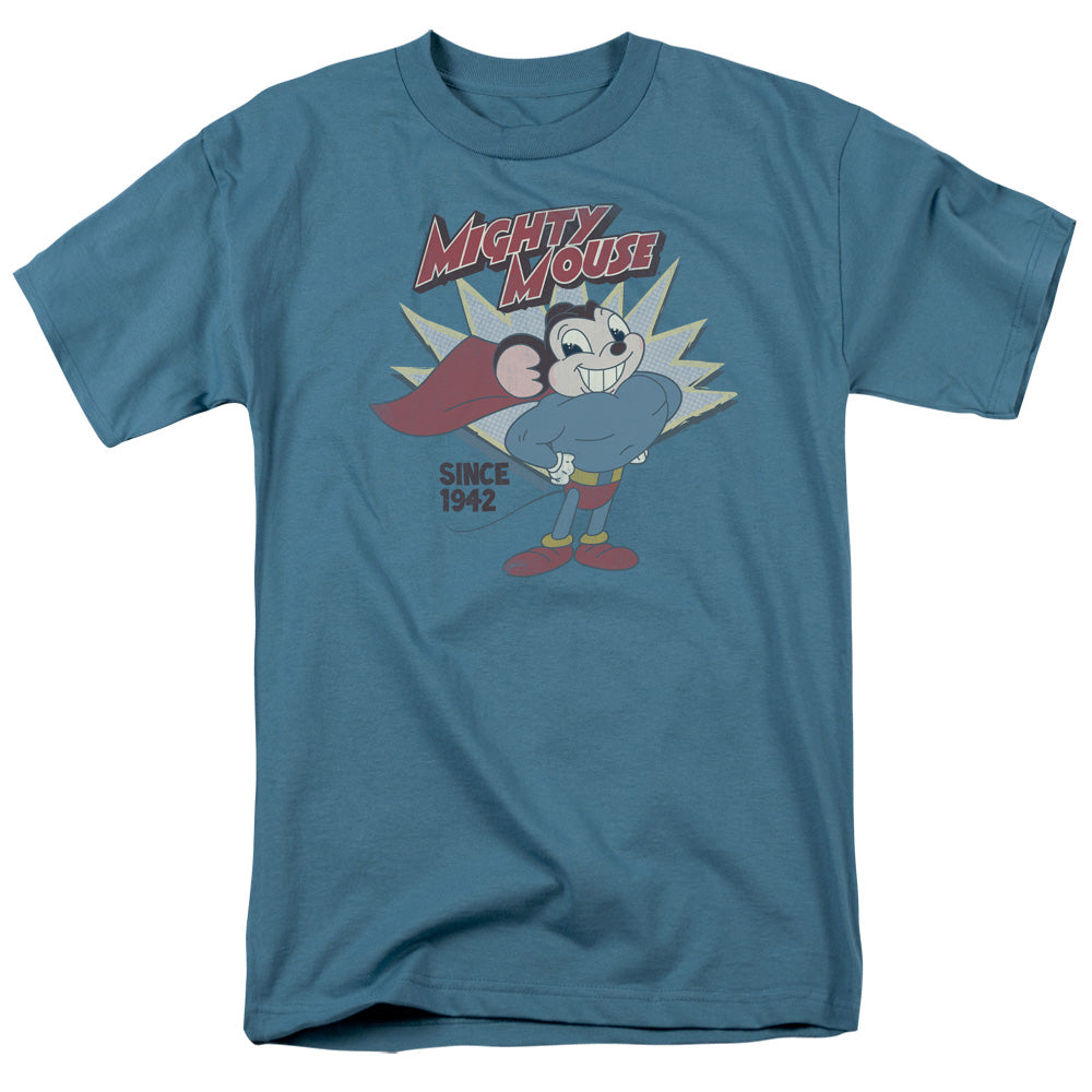 MIGHTY MOUSE/1942 - S/S ADULT 18/1 - SLATE