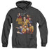 STAR TREK/AT THE CONTROLS - ADULT HEATHER HOODIE - BLACK
