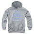 LOVE BOAT/DISTRESSED - YOUTH PULLOVER HOODIE - ATHLETIC HEATHER