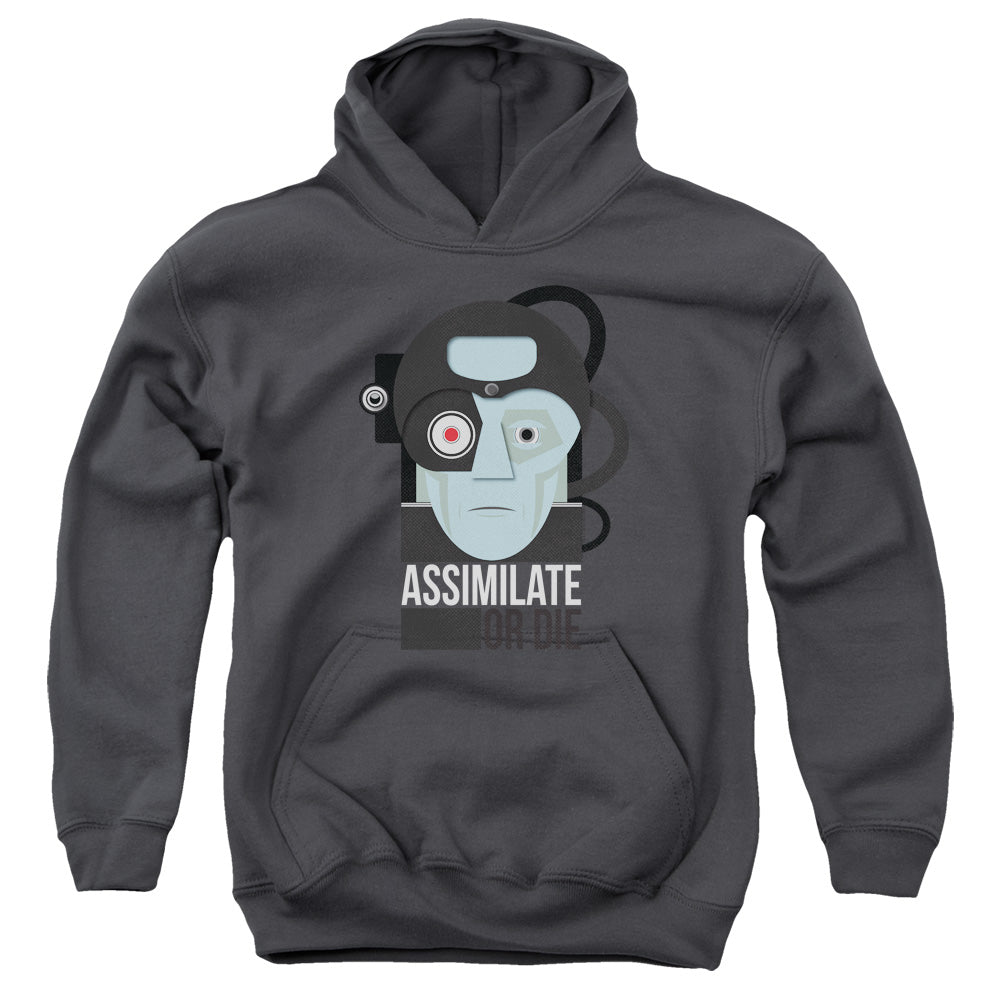 STAR TREK/ASSISMILATE OR DIE - YOUTH PULLOVER HOODIE - CHARCOAL