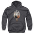 STAR TREK/TERRAN EMPIRE - YOUTH PULLOVER HOODIE - CHARCOAL