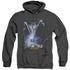 STAR TREK DISCOVERY/DISCOVERY BEGINS - ADULT HEATHER HOODIE - BLACK