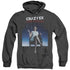 CRAZY EX GIRLFRIEND/CRAZY INSTINCT - ADULT HEATHER HOODIE - BLACK