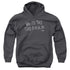 AMERICAN VANDAL/TURD BURGLAR - YOUTH PULLOVER HOODIE - CHARCOAL